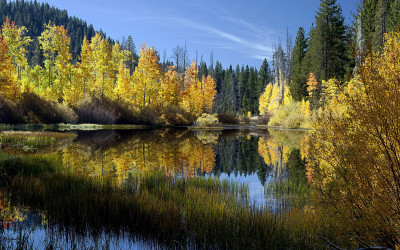 Lorem ipsum dolor sit amet, consectetur adipiscing elit